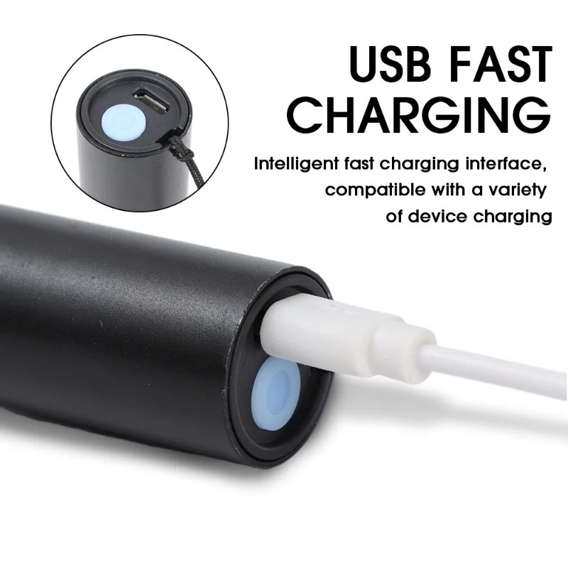 Portable USB Rechargeable Flashlight / UV365 Ultraviolet Handheld ...