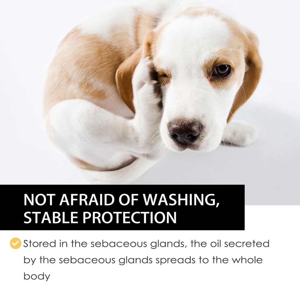 Dog and Cat Pet External Insect Repellent Drops, Spray To Clean and ...