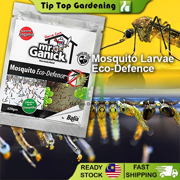 BABA Mr Ganick Mosquito Larvae Eco-Defence (20g) Ubat Jentik-Jentik ...