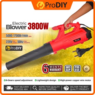 26cc Gasoline Leaf Blower Portable Mini Leaf Blower 0.75kw Durable Leaf  Blower - China Blower and Leaf Blower price