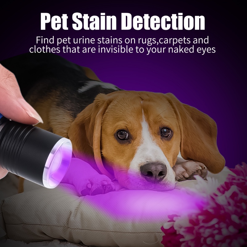 3 Modes 365/395nm UV Flashlight - LED Ultraviolet Flashlight - Portable ...
