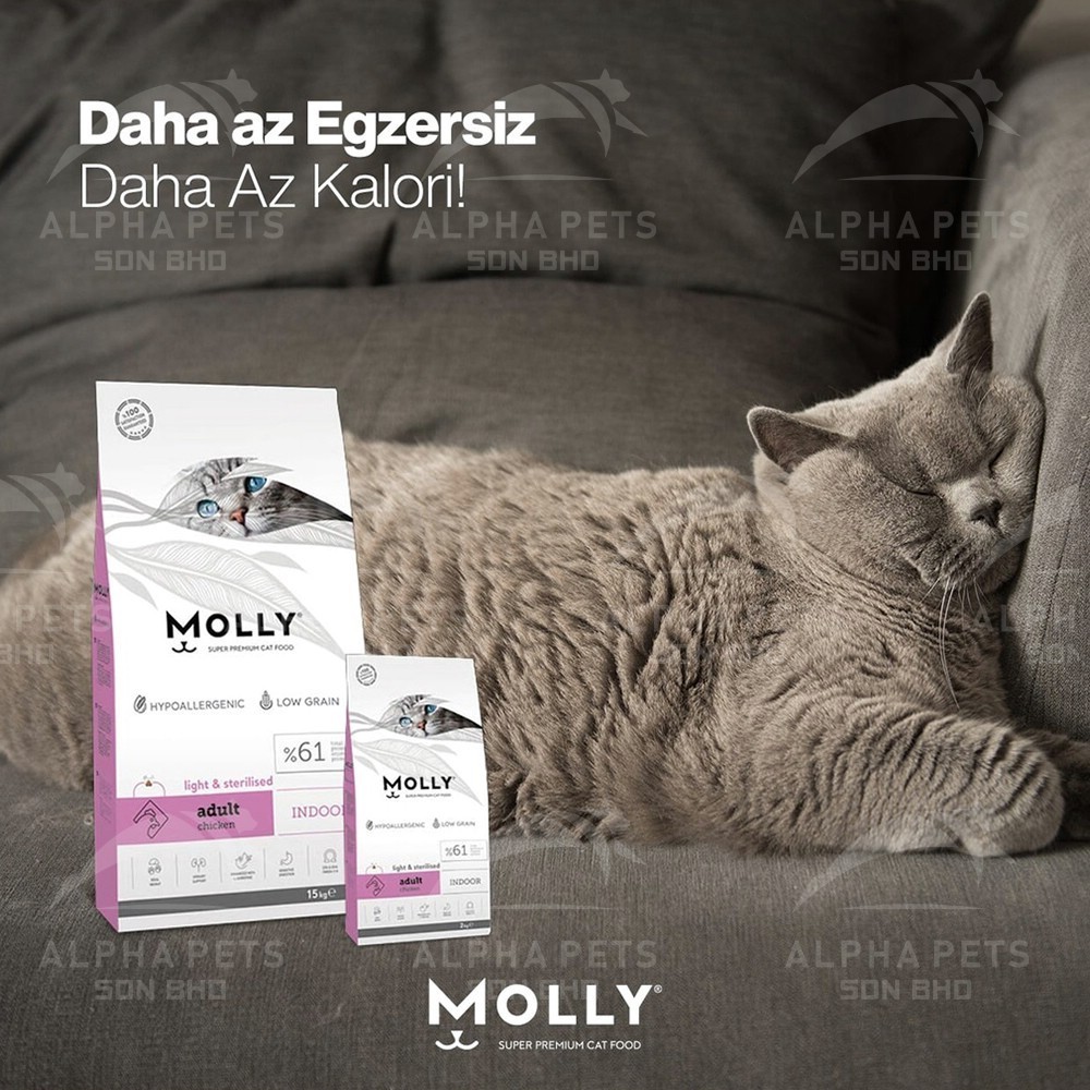 POODEE PETS Molly Cat Food 2kg Molly Kitten Food Cat Dry Food Cat