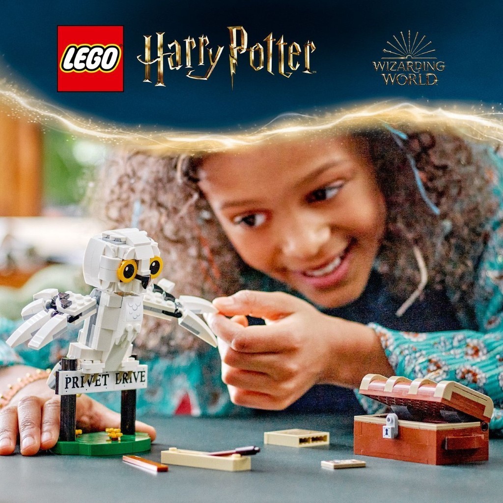 Lego hedwig pieces outlet