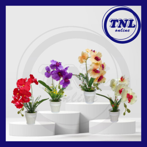 TNL TABLE TOP ARTIFICIAL ORCHID FLOWER ARRANGEMENT SET READY MADE ...