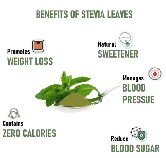 Organic Stevia Leaf Powder 甜叶菊叶粉| Shopee Malaysia