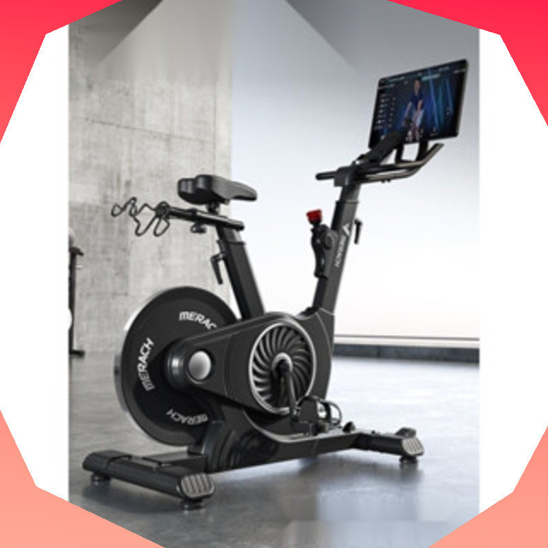 Intelligent Control Magnetic Exercise Spin Bike Silent Pedal Exerciser ...