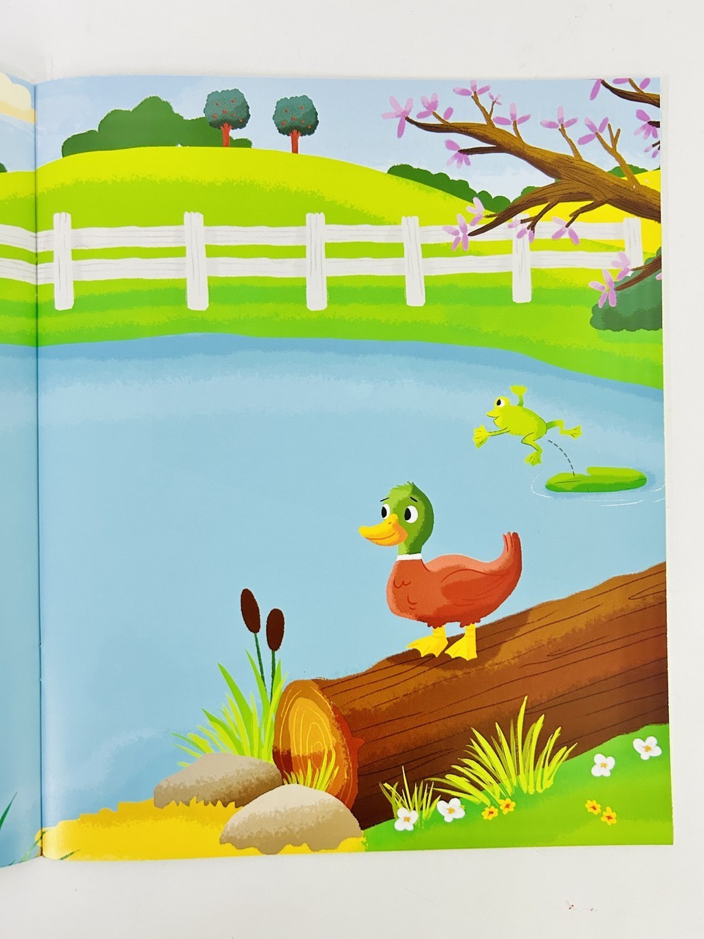 Farm Sticker Scenes Book For Kids To Decorate 8 Colourful Scenes With ...