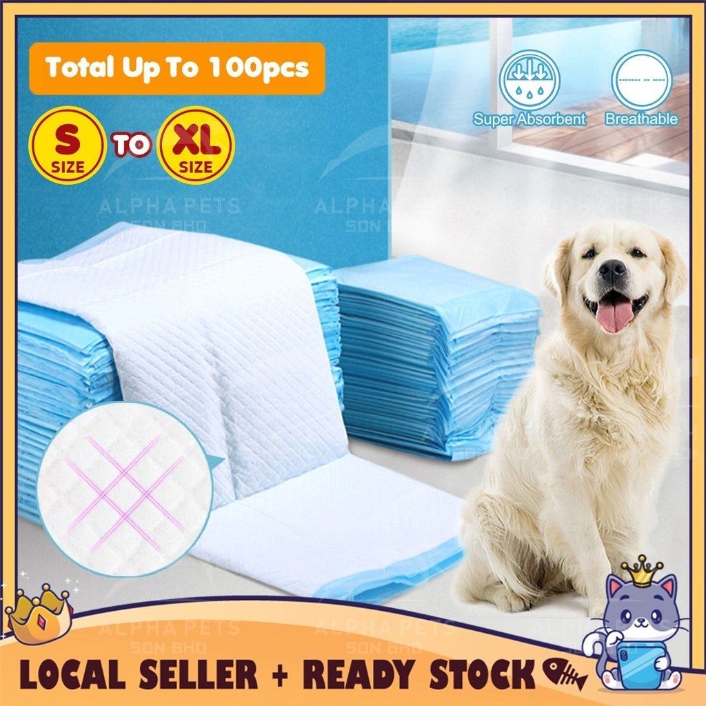 CATQUEEN READY STOCK Pee Pad Wee Pad Training Pad Pee Pad eraPAD for ...