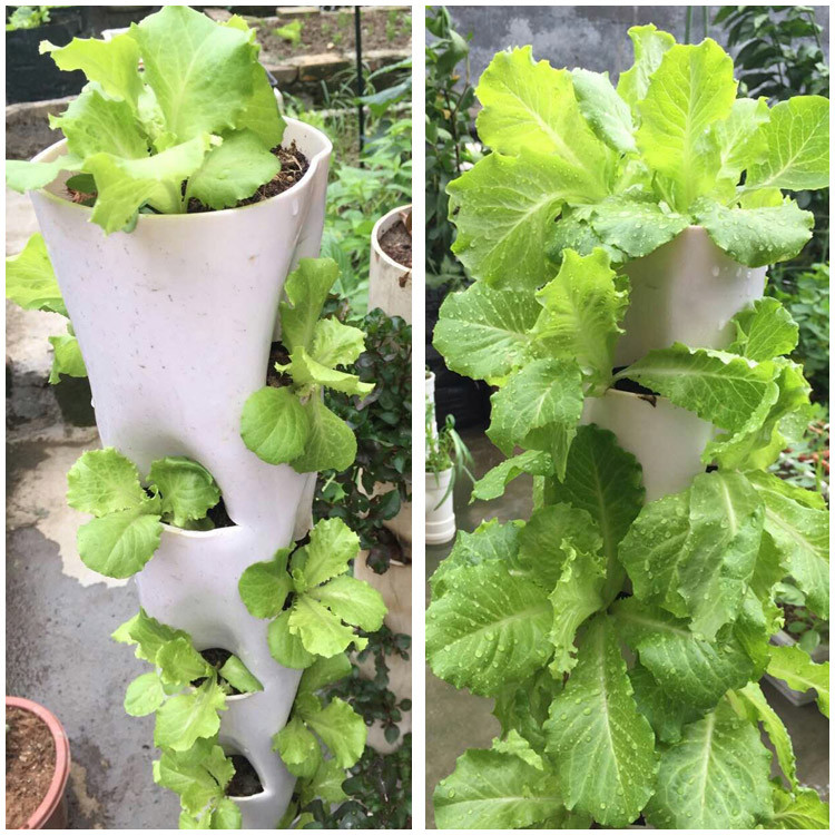 Pipe Planting Rack Column Type Multi-Layer Floor Vegetable Planting ...