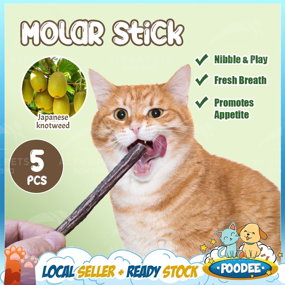 POODEE Catnip Cat Treats Wood Matatabi Teeth Molar Cleaning Cat Chew ...