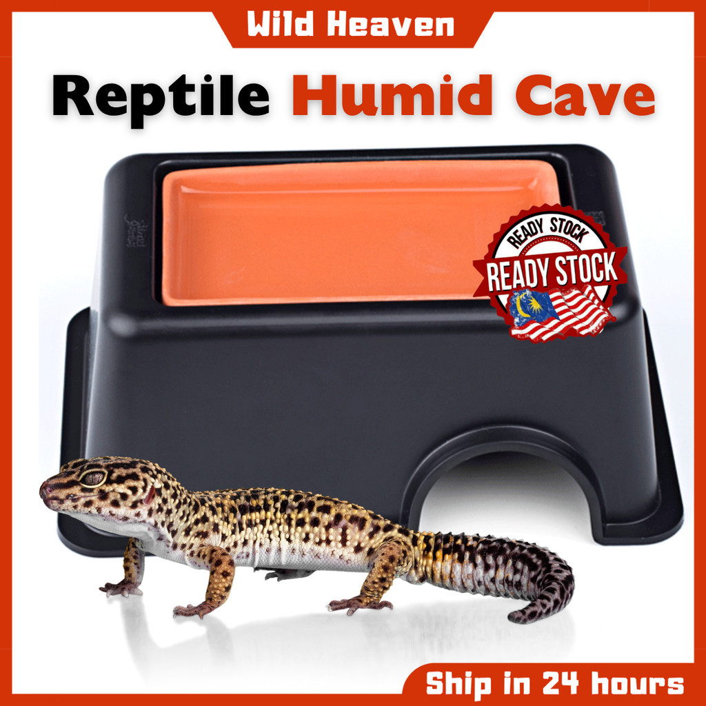 Reptile Hideout Box Sink Basin Humidifier Moisturise Hide Caves Lizards ...