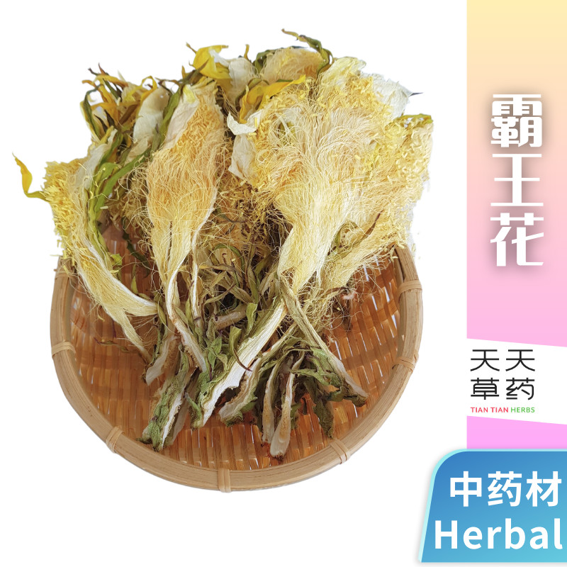 Overlord Flower 霸王花 剑花 100gram 中药材 药材 Chinese Herbal Shopee Malaysia