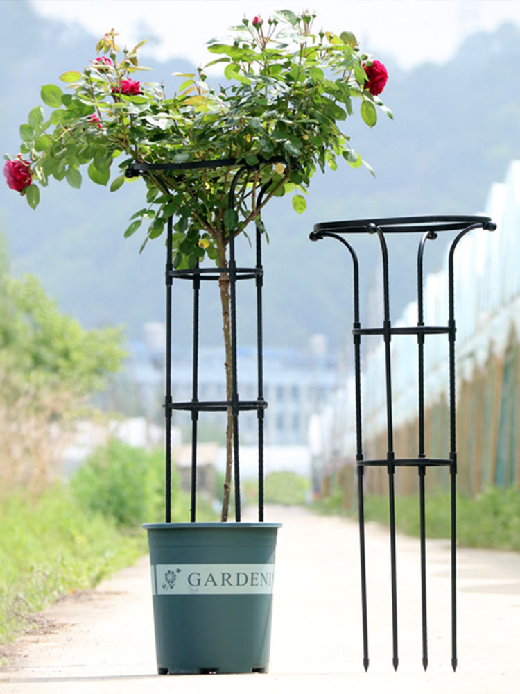 Climbing flower racks/// Gardening Single Circle Umbrella Rose Climbing ...