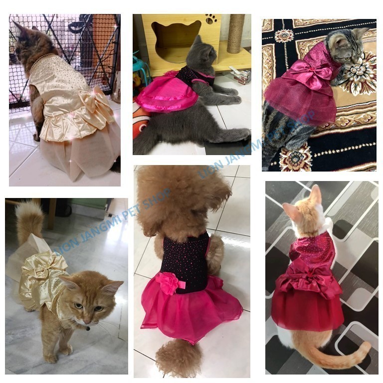 Princess Wedding - Baju Kurung Kucing Moden, Baju Raya Kucing Betina ...