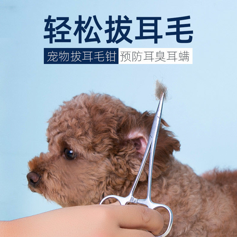 Dog Pet Ear Plucking Pliers Ear Plucking Ear Plucking Handy Tool Teddy ...