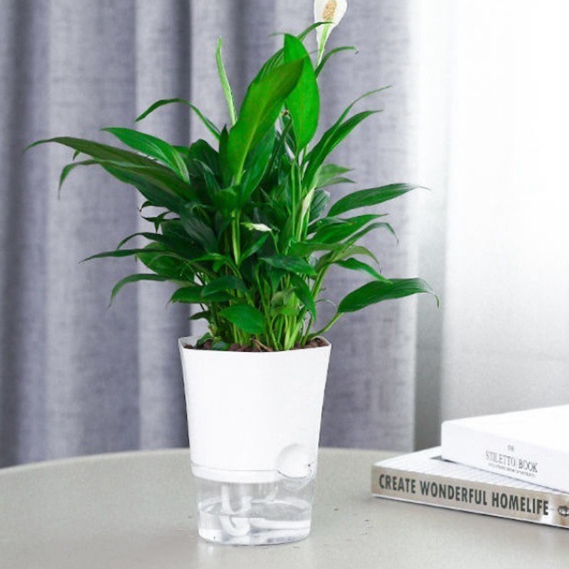 Lazy Hydroponic Self Watering FlowerPot Plastic Transparent Double ...