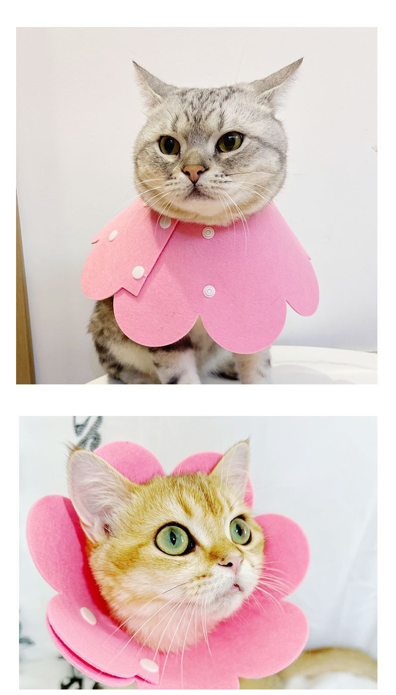 Cat Collar Cone Pet Elizabeth Collar Cat Neck Colar Kolar Kucing Sakit ...
