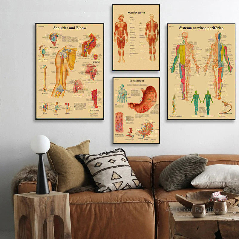 Retro Organ Systems in The Human Body Poster Skeleton Anatomy Wall Art ...