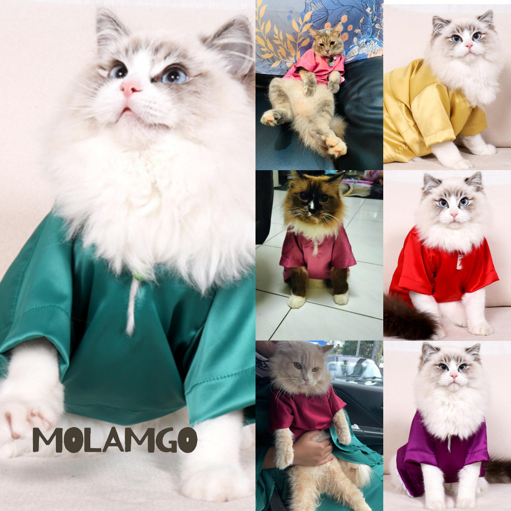 Raya clothes for male cats Baju Kurung Baju Raya Kucing Malay unisex ...