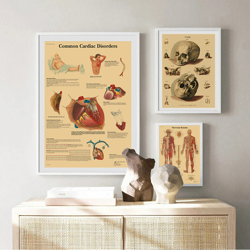 Retro Organ Systems in The Human Body Poster Skeleton Anatomy Wall Art ...
