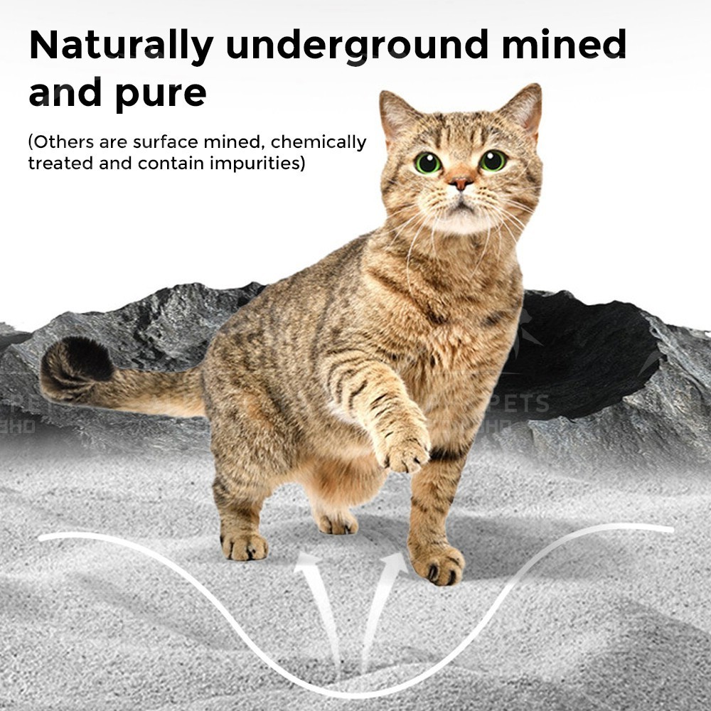 POODEE GRAFINITE 4KG 100% Dust Free Premium Quality Clumping Volcanic ...