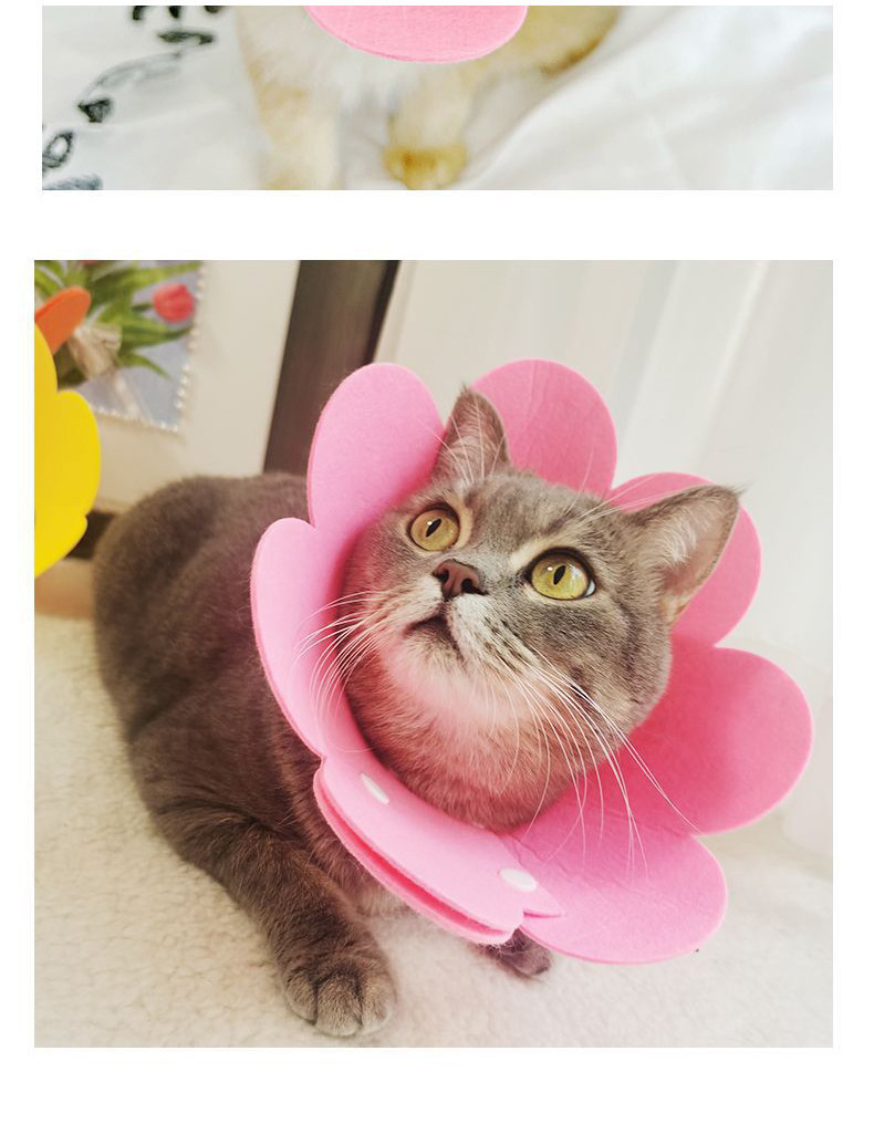 Cat Collar Cone Pet Elizabeth Collar Cat Neck Colar Kolar Kucing Sakit ...
