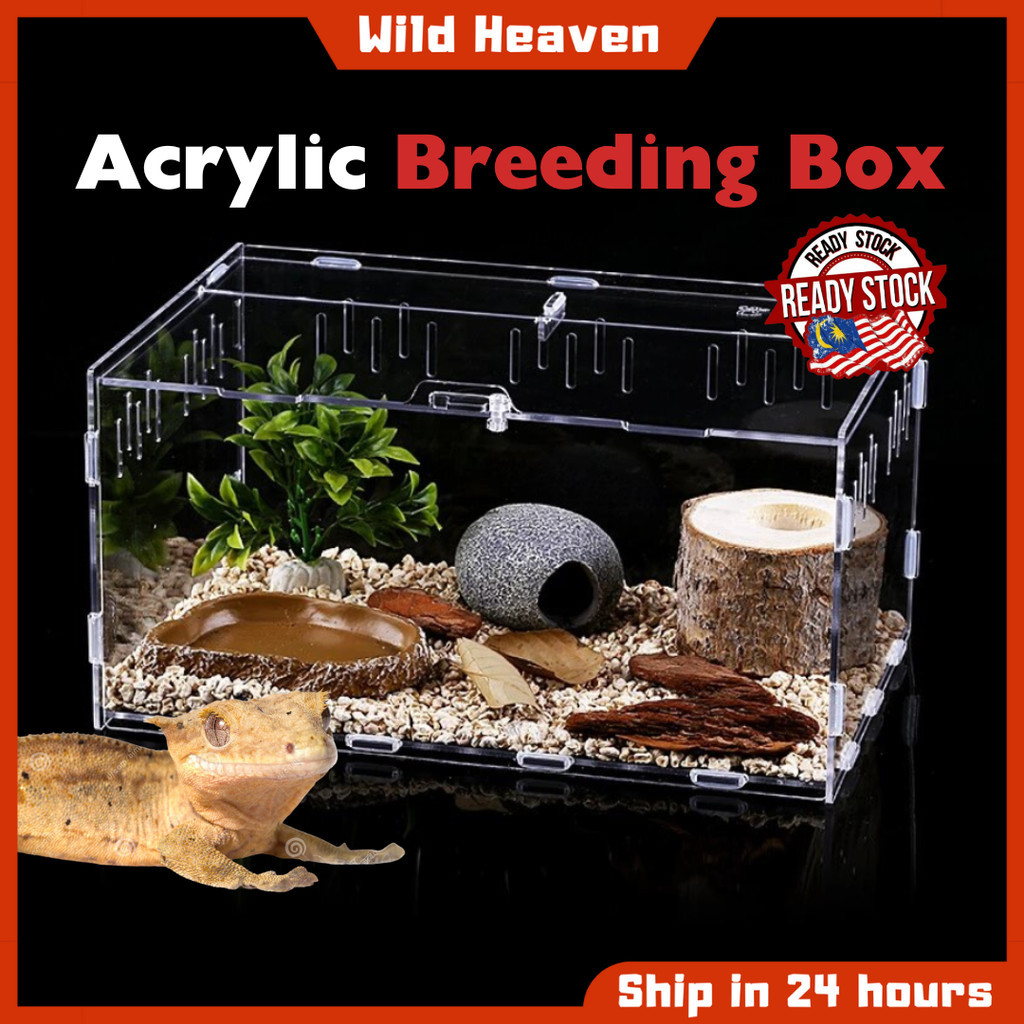 Reptile Acrylic Feeding Box Breeding Habitat Snake Spider Lizard ...