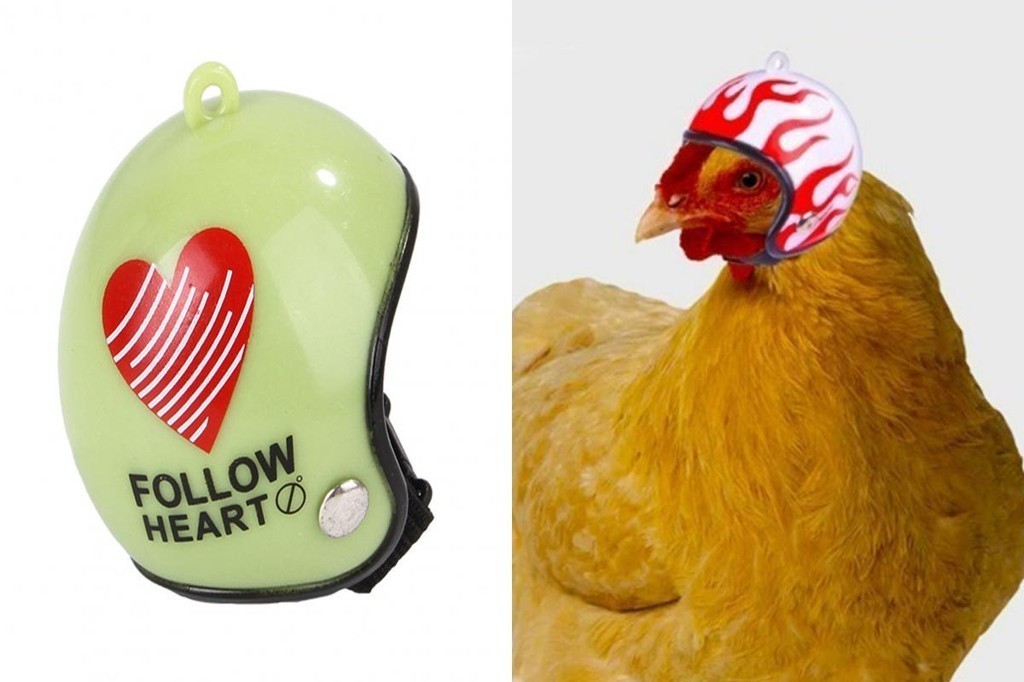 {lowerprice} Cute Hen Hat Pet Chicken Headgear Colorful Parrot Bird Hat ...