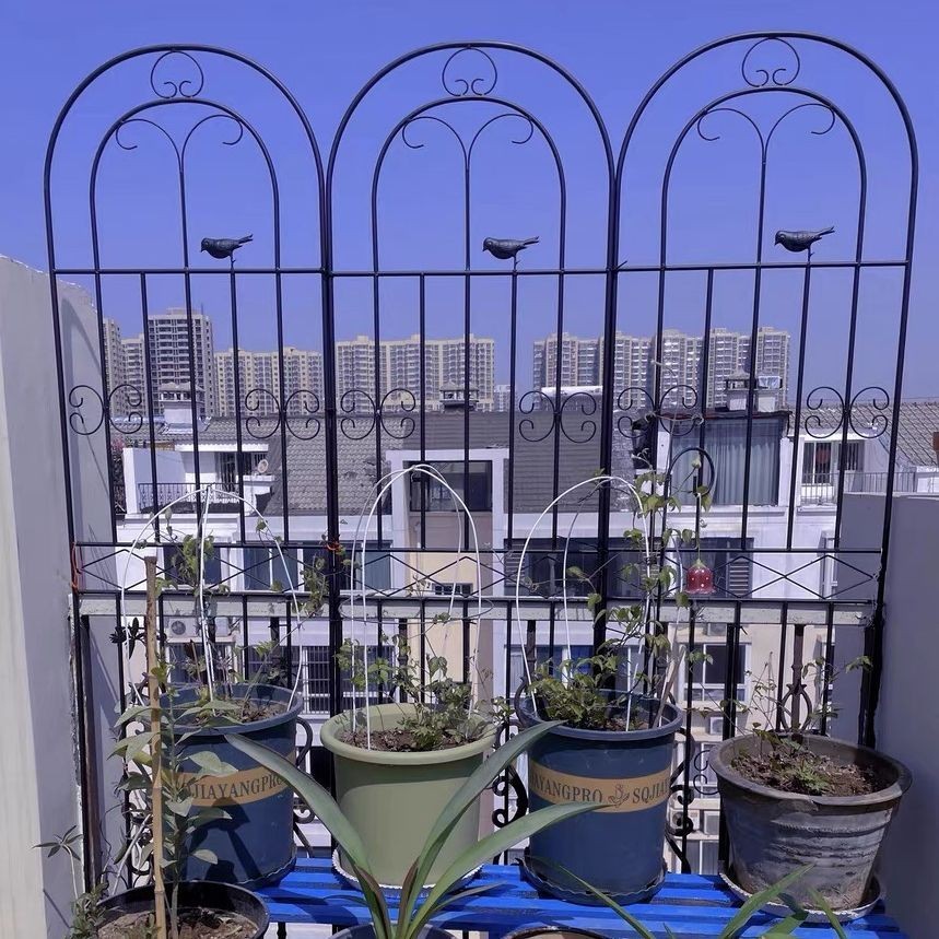 Climbing flower racks/// Clematis Rose Climbing Vine Stand Rose Plant ...