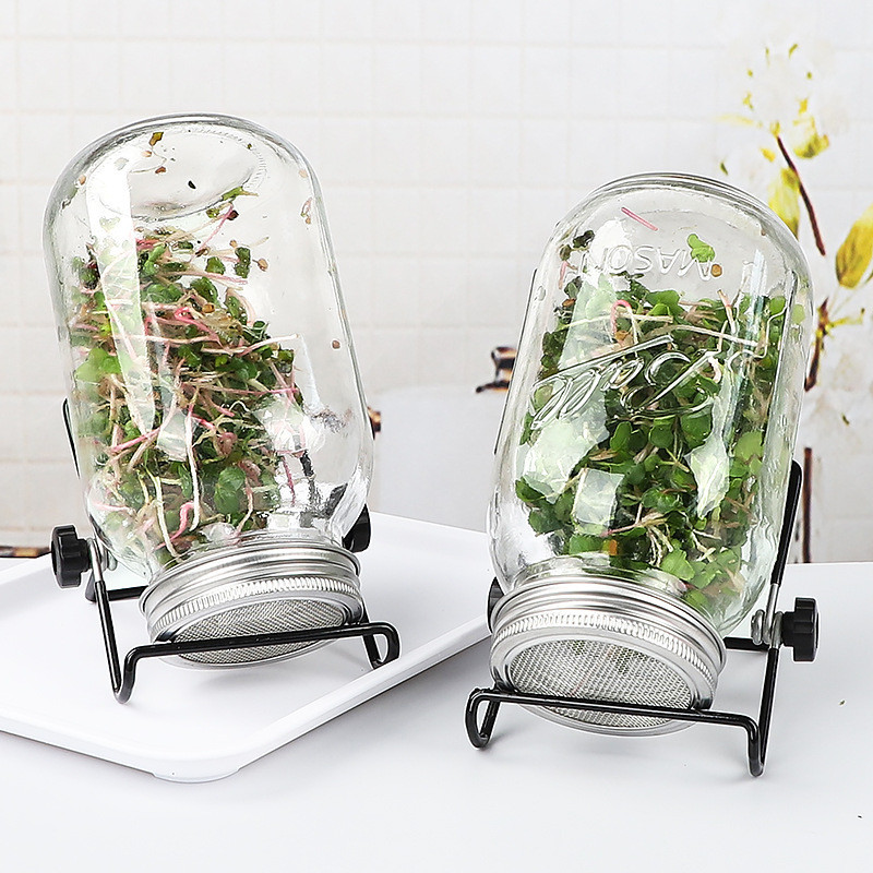 86mm Bean Seed Sprouting Screen Covers Plastic Germination Tray ...