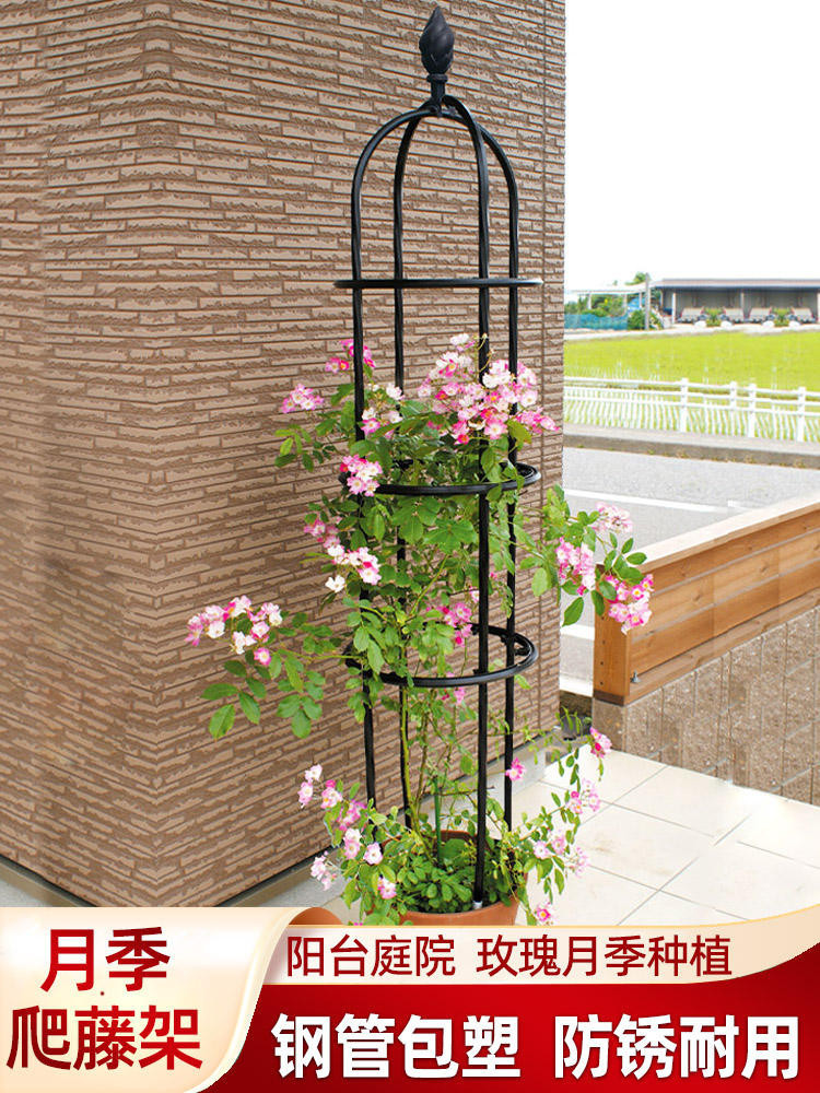 Climbing flower racks/// Flower Stand Climbing Pergola Outdoor Rose ...