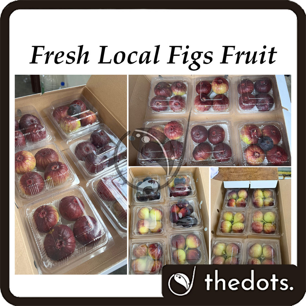 Fresh Local Figs Fruit Buah Tin Segar 200g+-/pack 新鲜无花果 | Shopee Malaysia