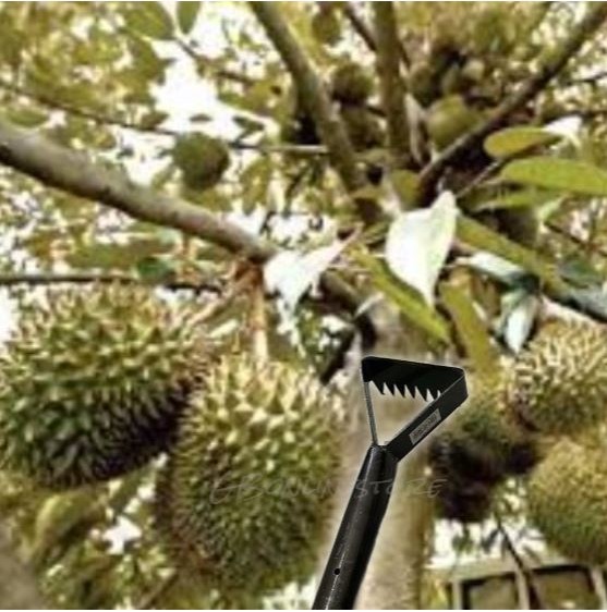 Gigi Rake parasitic rake durian rake Gardening Tools High Carbon Steel ...