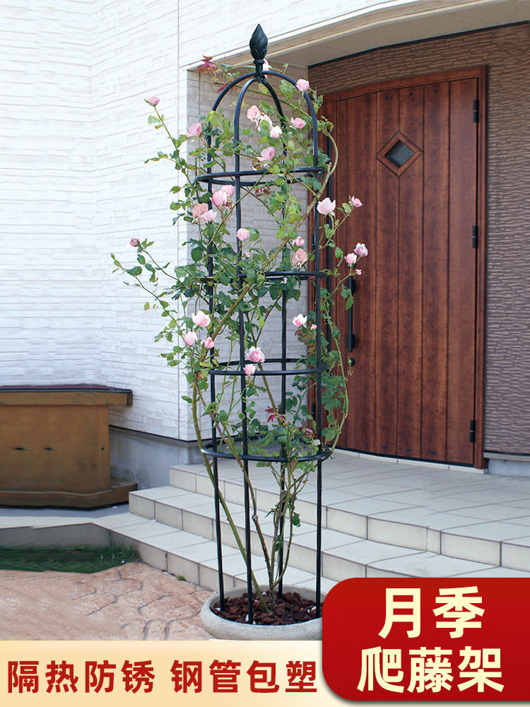Climbing flower racks/// Flower Stand Climbing Pergola Vine Rose