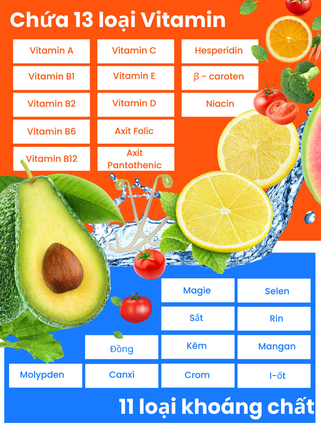 Seedcoms Multi Vitamin and Mineral Supplement Pills to support beauty ...