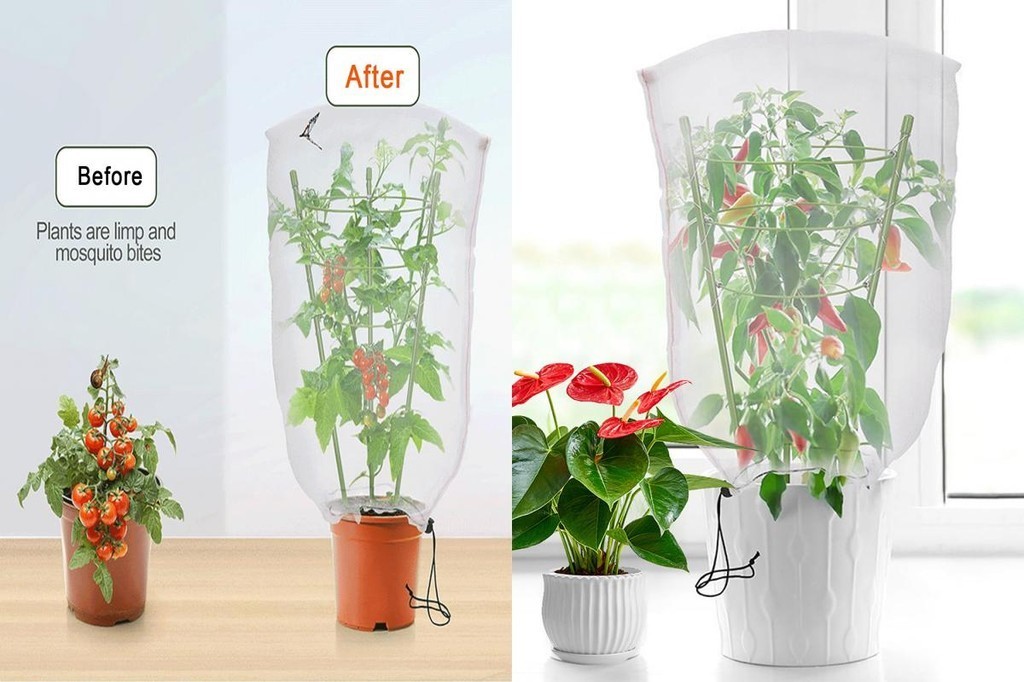 Long-lasting Plant Support Solution Plant Support Cage 3 Tier Plant 