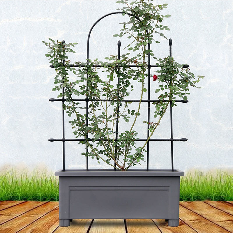 Climbing flower racks/// Assemble Climbing Vine Flower Screen Flower ...