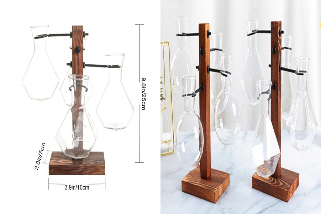 CHEER Plants Propagation Station Borosilicate Glass Vase Indoor Plant ...