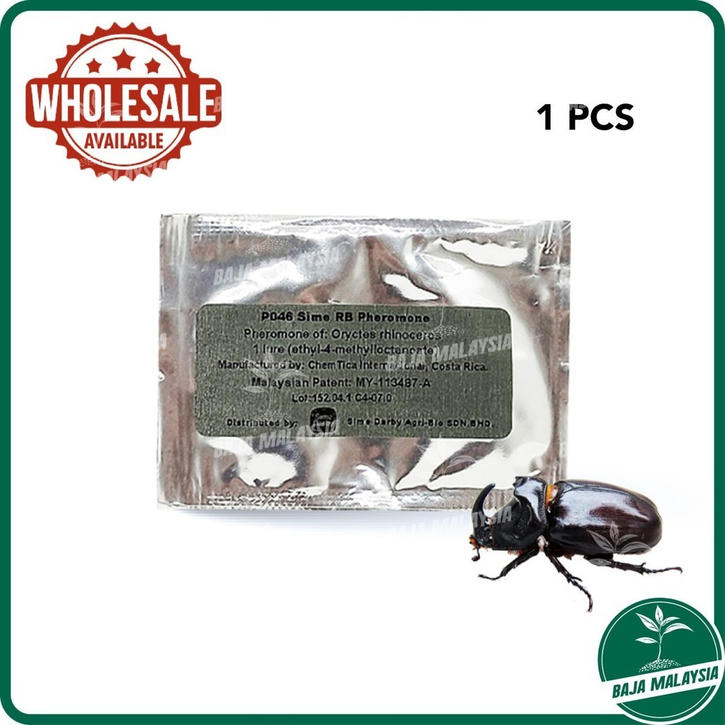 Sime Darby Pheromone Trapping Rhinoceros Beetle Palm Oil Coconut Kebun