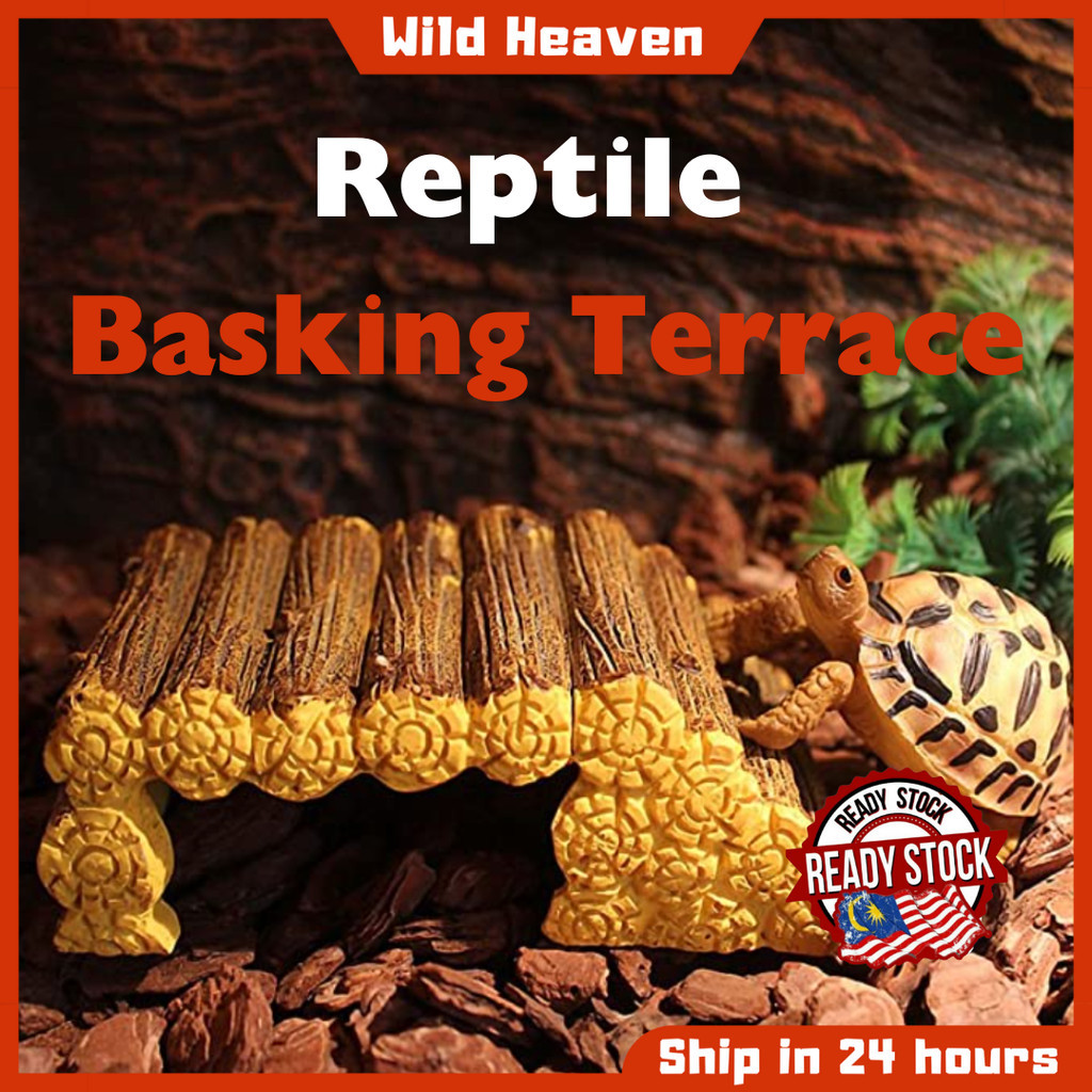 Natural Reptile Basking Ramp Terraces Resin Made | Shopee Malaysia