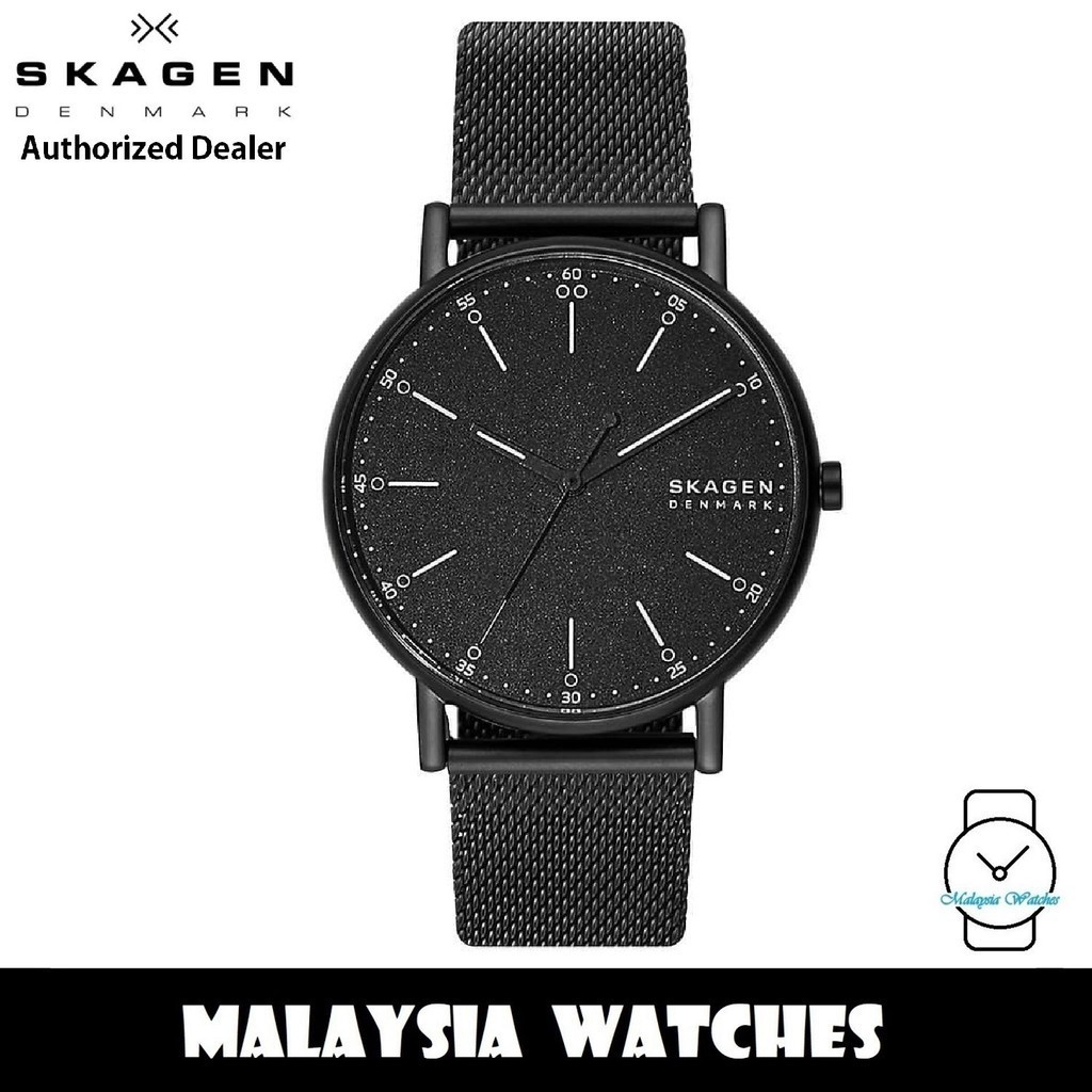 Skagen skw6579 sale