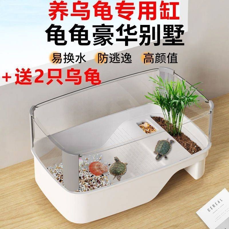 Special Tank For Money Turtle, Professional Turtle Tank, Turtle ...