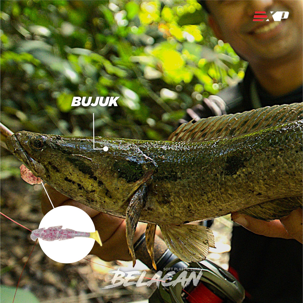 EXP Belacan Soft Plastic SP Lure Set 6cm | Shopee Malaysia