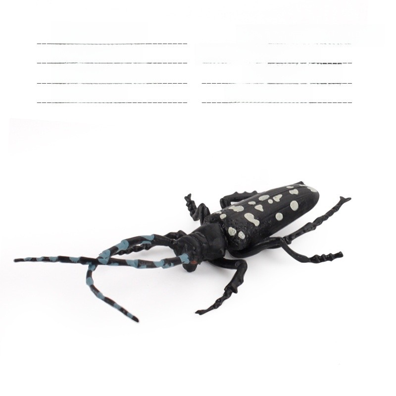 Eco Friendly Insect Replicas Pvc Wasps Ants Crickets Educational Models ...