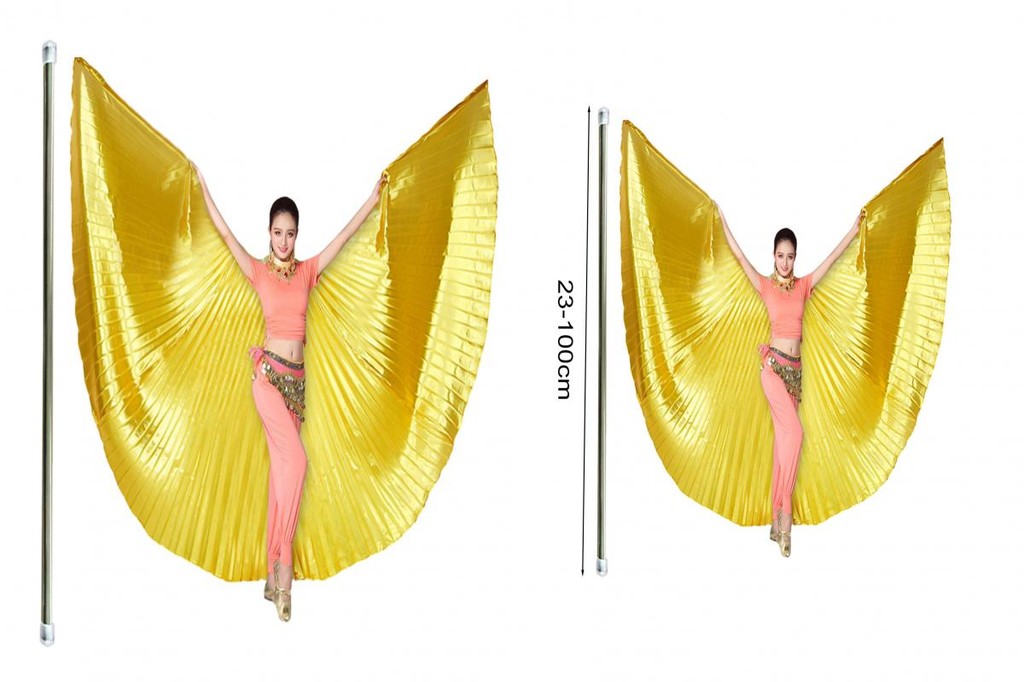 YYR_ 360 Degree Angel Wing Women Angel Wing Professional Belly Dance ...