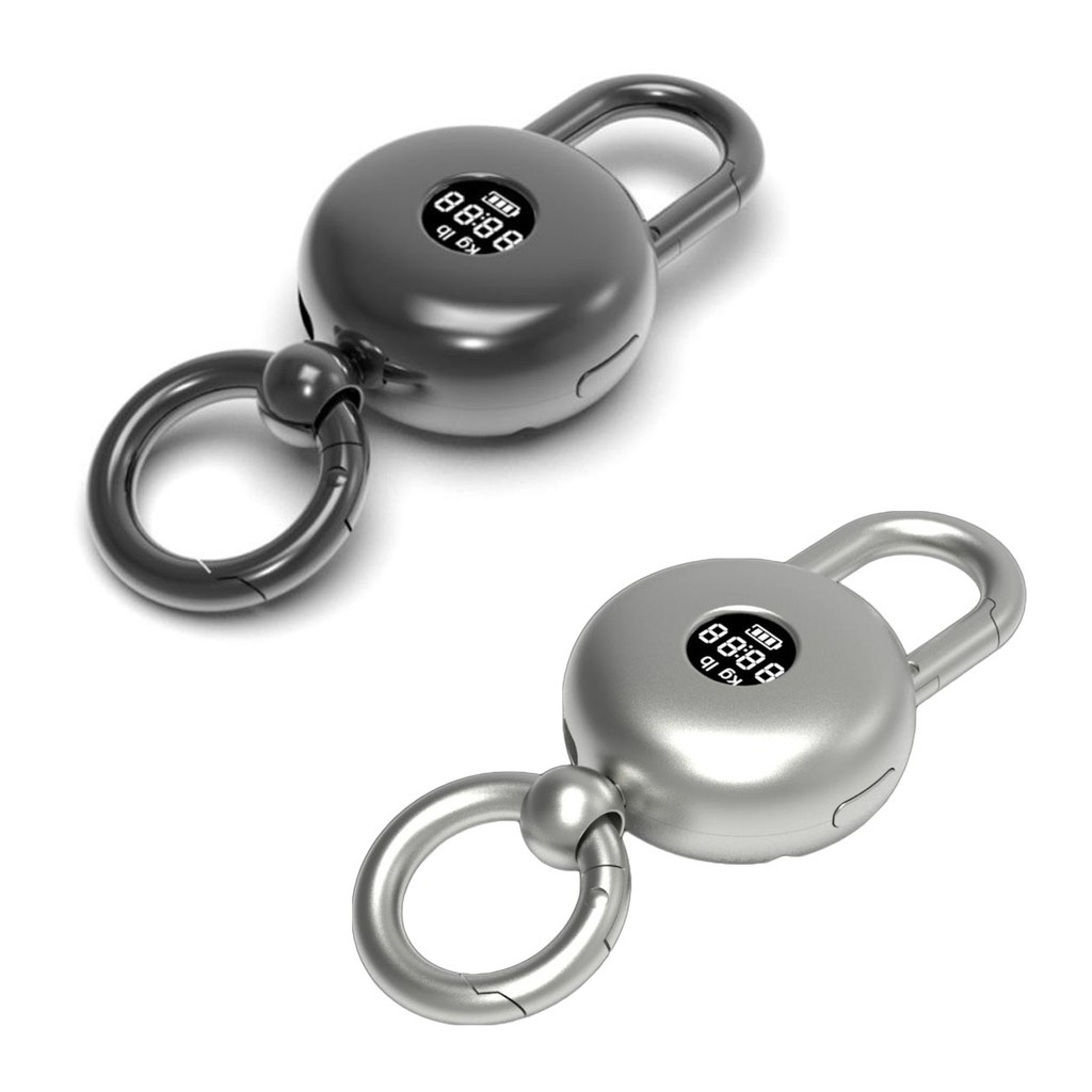 【HDS01】Mini Electronic Scale Digital Scale Pocket Key Chain Weight ...