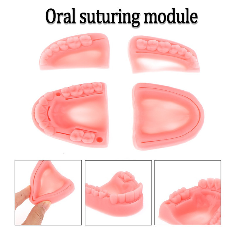Medical Teaching Simulation Dental Suture Practice Model Oral Practice ...