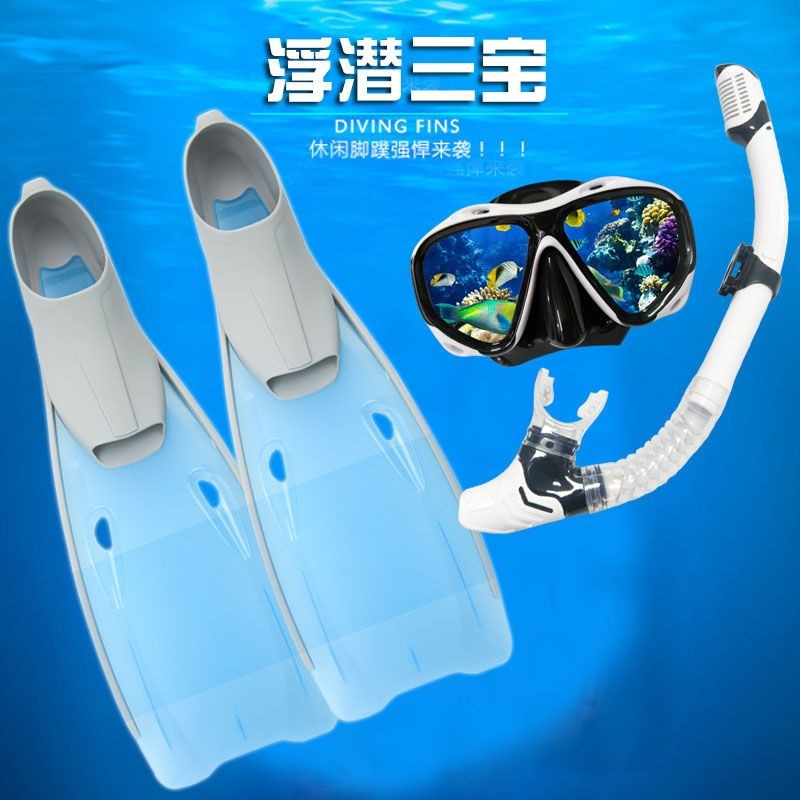 Adult Diving Goggles, Full Dry Snorkel, Long Fins, Flippers, Equipment ...