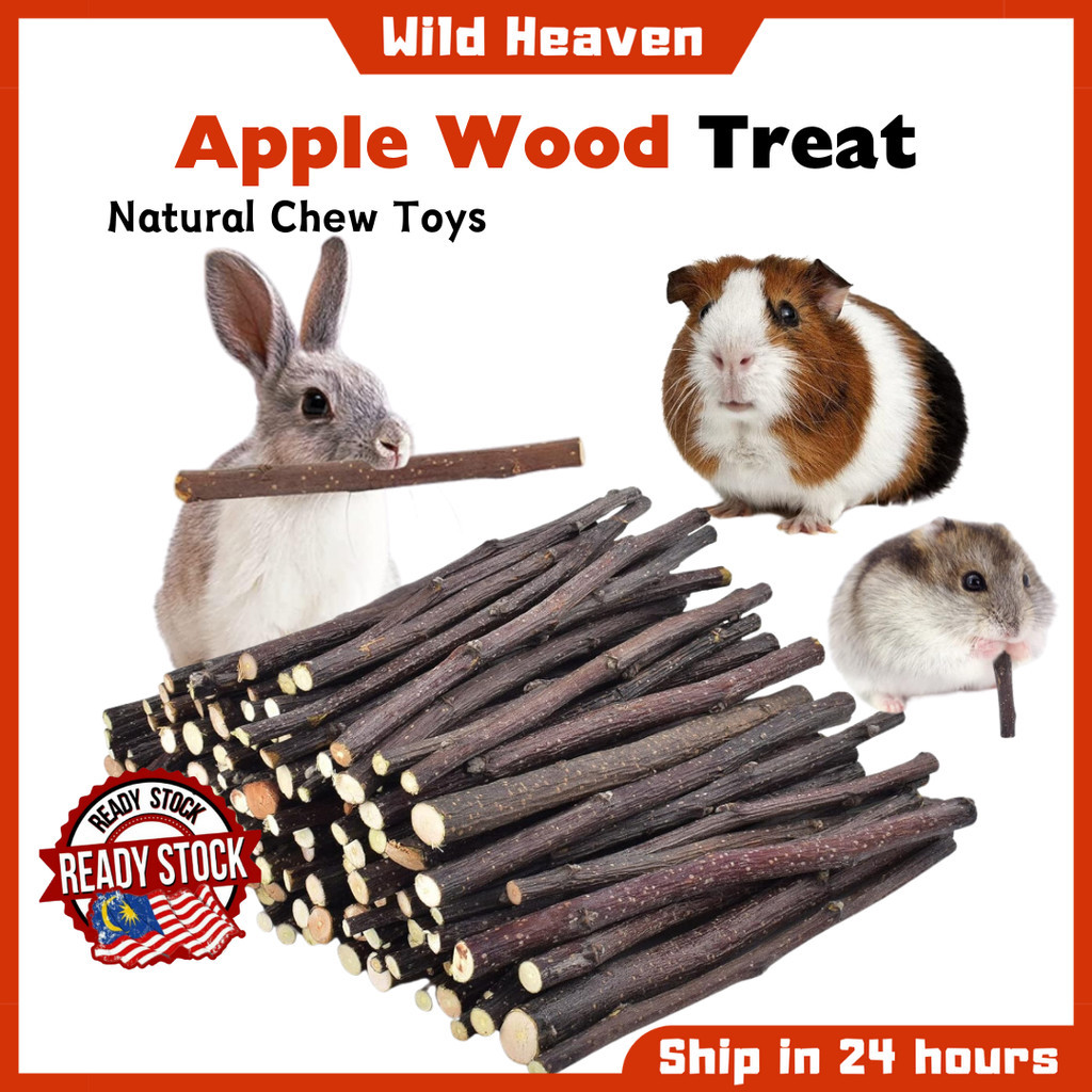 Natural Apple Branch Sticks Chewing Hamster chew Chinchilla Guinea Pigs ...