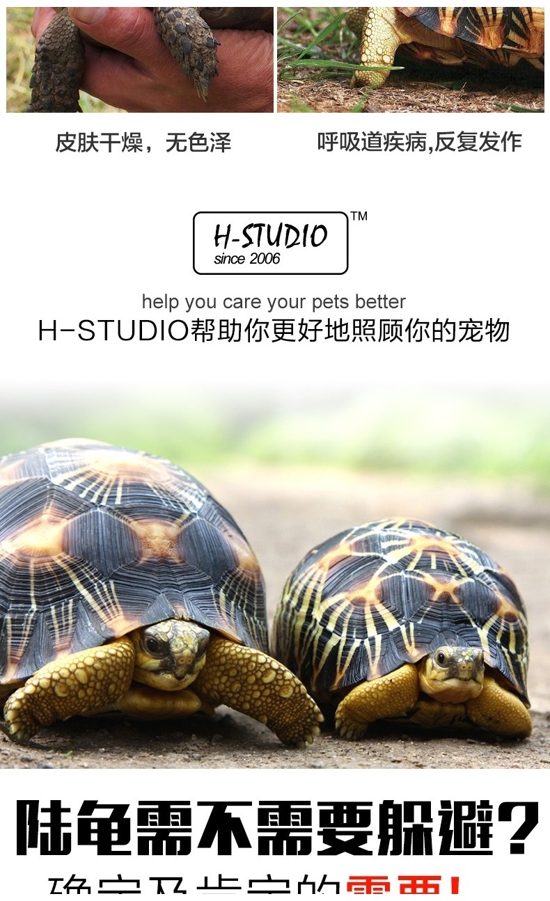 Tortoise Humidification Hide Nest Lizard Snake Python Climbing Pet ...